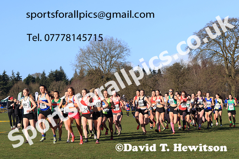 Junior Womens 2025 Northern Cross Country Champs, Tatton Park, Knutsford, Cheshire. Photo: David T. Hewitson/Sports for All Pics